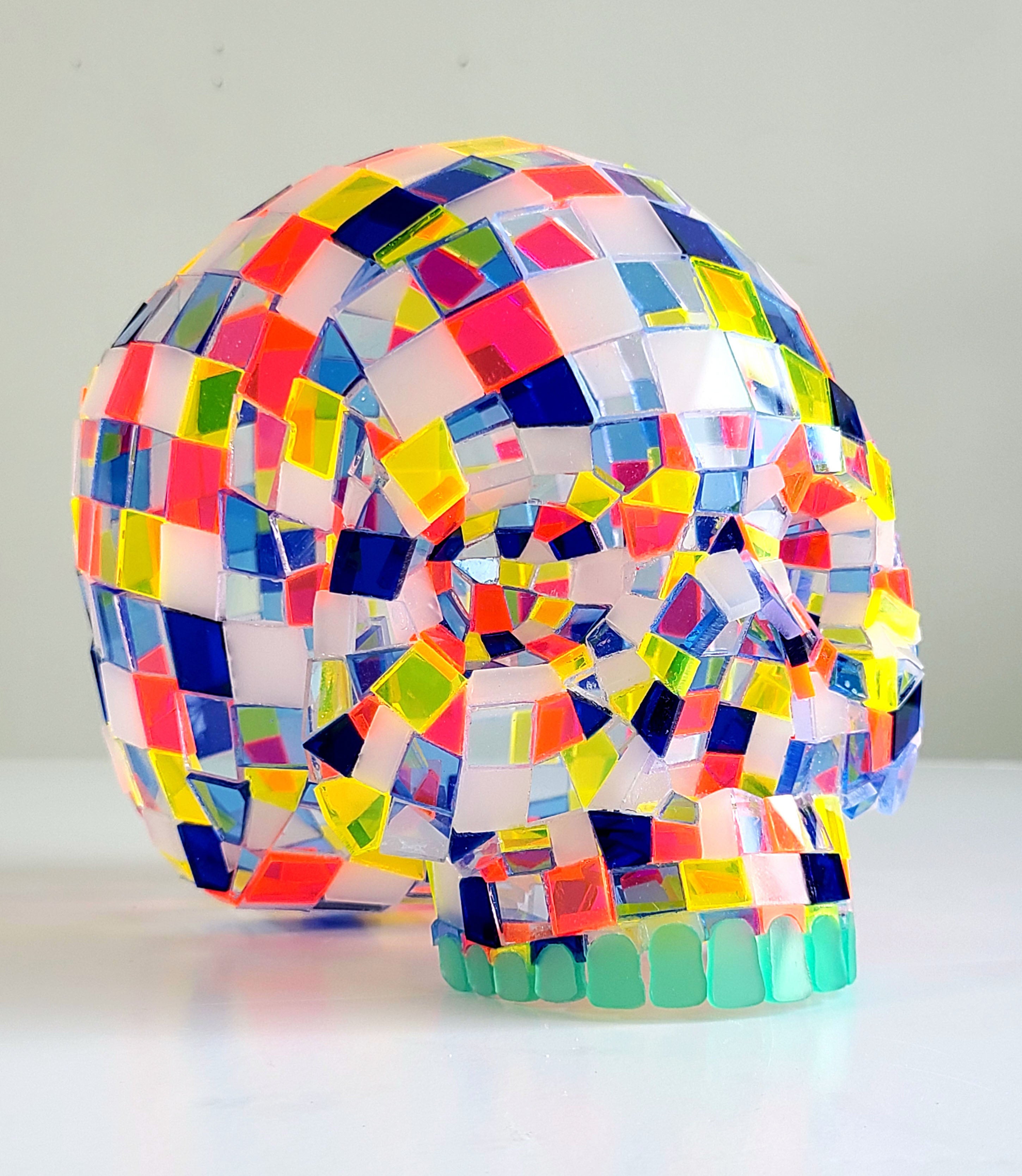 Mondrian Skull